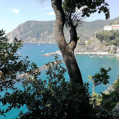 Nel Cuore Di Monterosso Cinque Terre Orto Di Ciack 蒙特罗索阿尔马雷 外观 照片